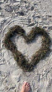 Herz aus Algen am Strand von Warnemünde